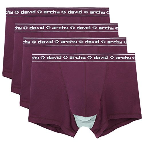Adam George Mens Underwear 4 Pack Micro Modal Separate Pouches Trunks